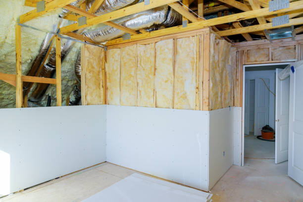Best Insulation Maintenance and Repair in Austin, MN